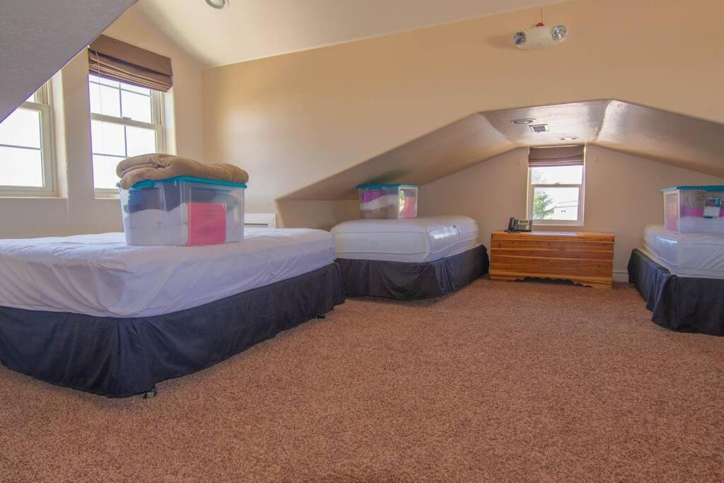 Tacit Shadow Escape Dual Suite, Gym, Coffee Bar, Hot-tub, Free Laundry, Food Available